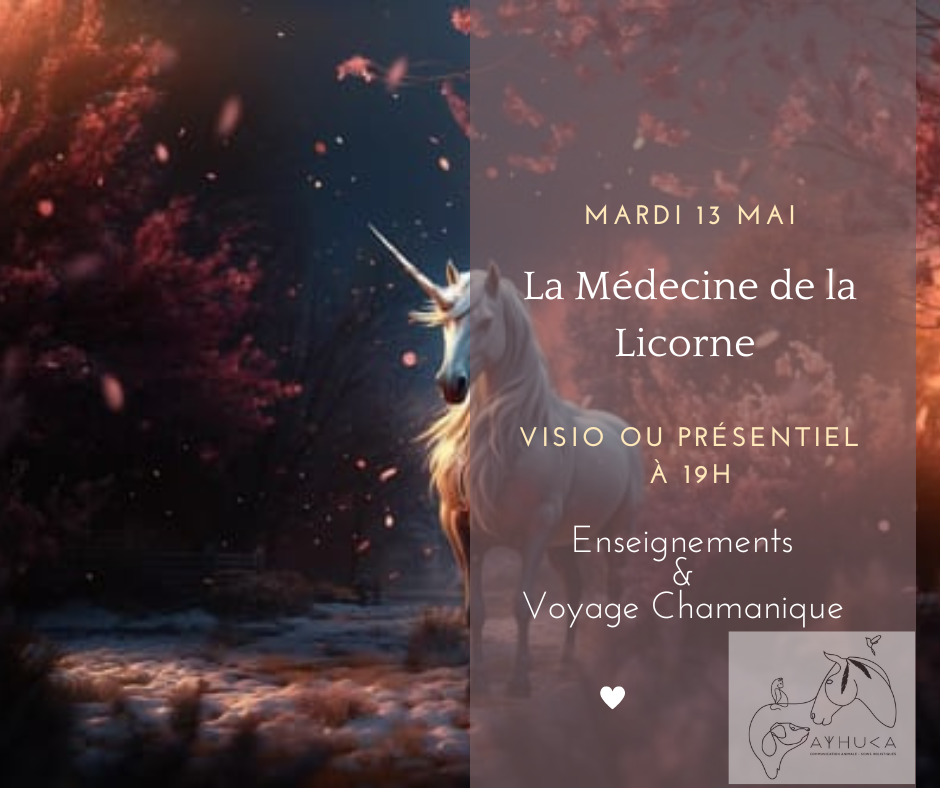 Copie de Copie de Orange Simple Citation Chats Publication Facebook_20250411_143053_0000