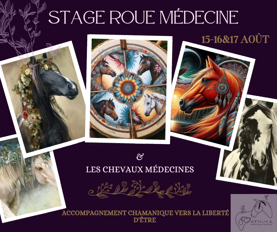 Copie de Copie de Stage Se Libérer de l'Histoire &Se révéler à Soi_20250410_145630_0000