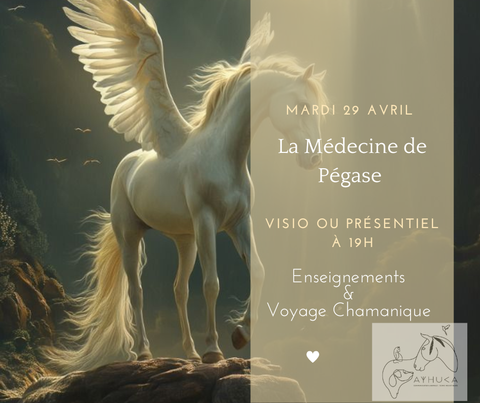 Copie de Orange Simple Citation Chats Publication Facebook_20250317_134457_0000